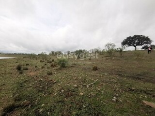 IDf8727e01-0000-0500-0000-0000134a2fb7.jpg