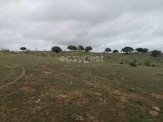IDf8727e01-0000-0500-0000-0000134a2fb8.jpg